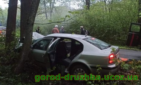 На Сумщині авто врізалось у дерево: водій загинув, 4 пасажирів у лікарні